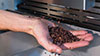 Winnower casse cacao tarare